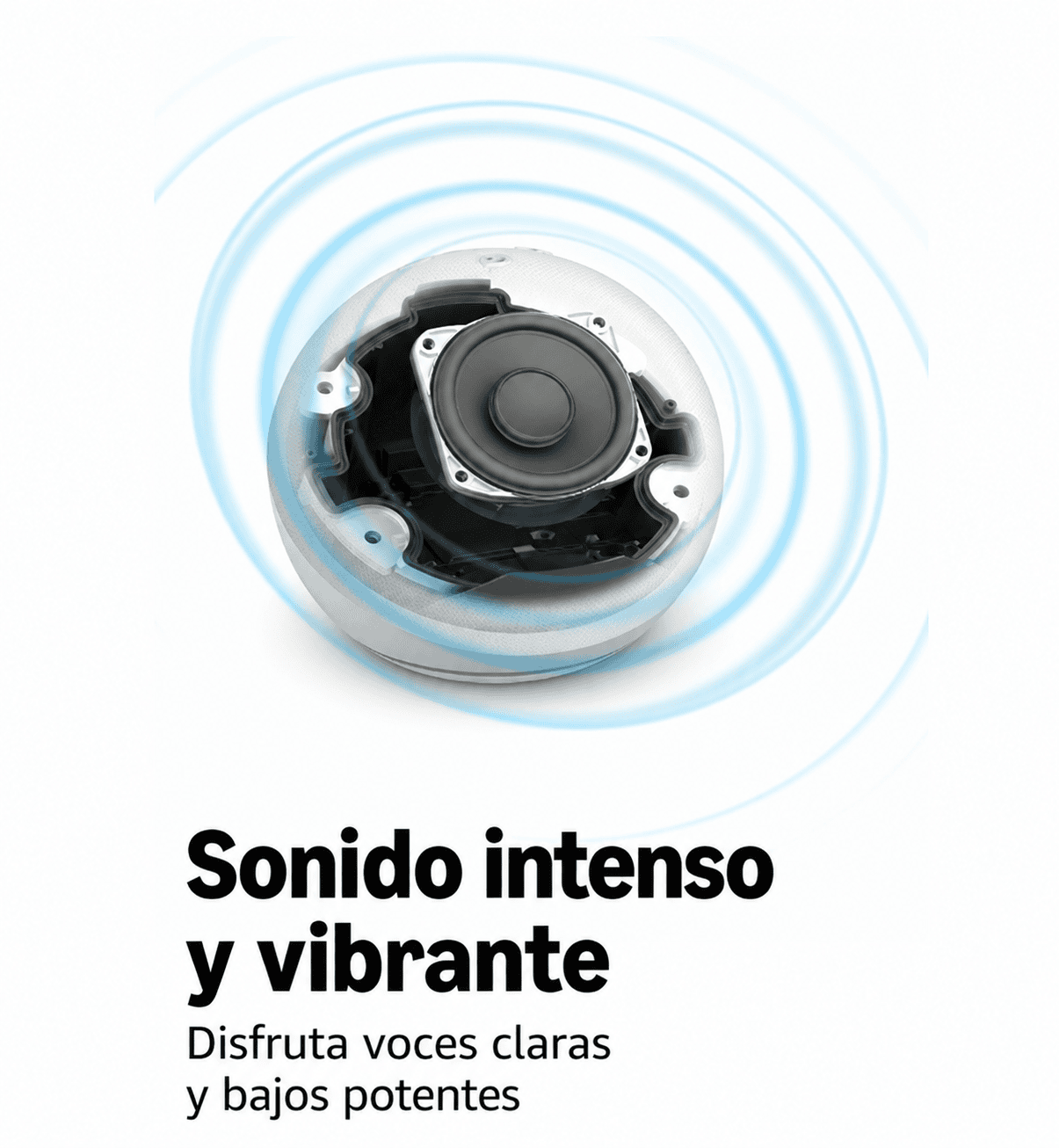 Imagen del carrusel